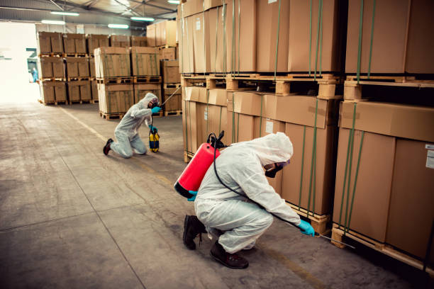 Best Pest Control Near Me  in Clintwood, VA
