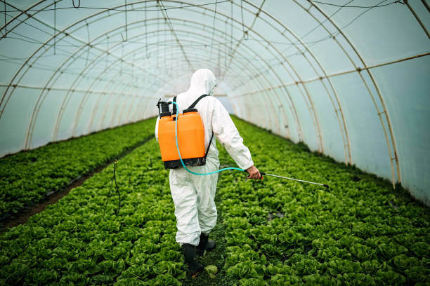 Best Local Pest Control Services  in Clintwood, VA