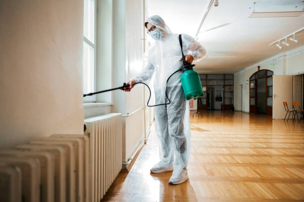Best Affordable Pest Control Services  in Clintwood, VA