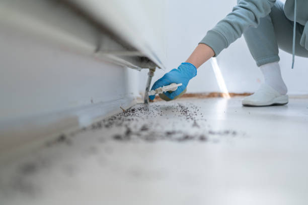 Trusted Clintwood, VA Pest Control Experts