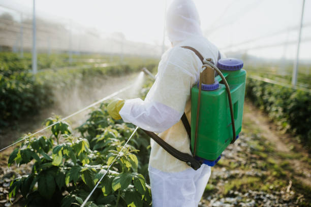 Best Pest Removal Services  in Clintwood, VA